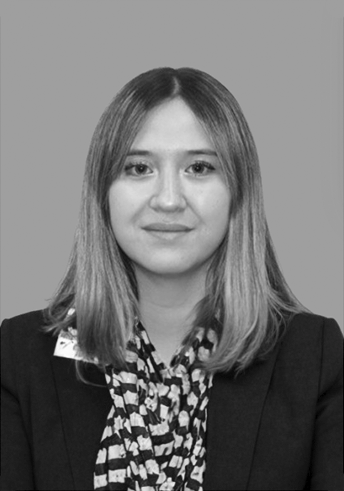 https://opabogados.cl/wp-content/uploads/2026/02/Rocio-Nunez-BN.png